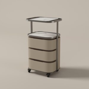 Brown Trolley TR2006